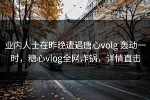 业内人士在昨晚遭遇唐心volg 轰动一时，糖心vlog全网炸锅，详情直击