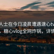 业内人士在今日凌晨遭遇溏心tv 惊艳全场，糖心vlog全网炸锅，详情了解