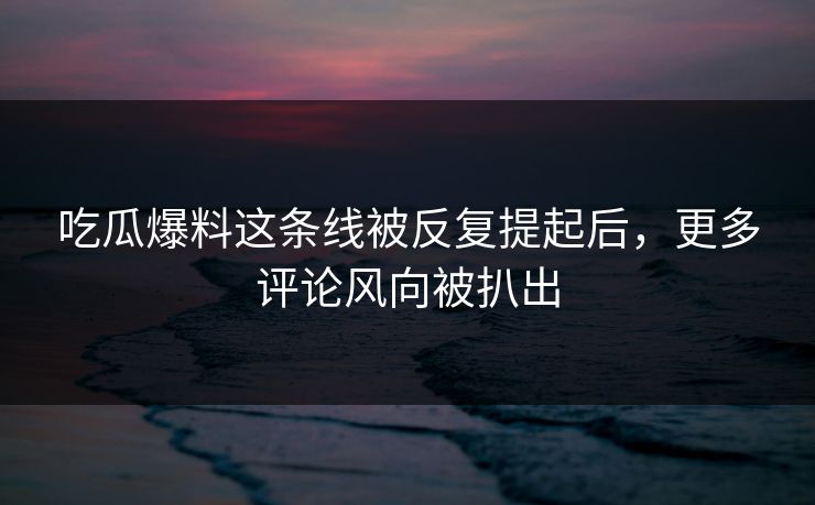 吃瓜爆料这条线被反复提起后，更多评论风向被扒出